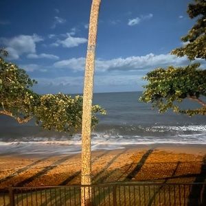 Meet your Posher, Jayda